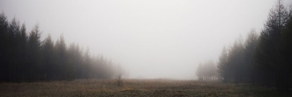 cdn./img/projects/from-the-fog/
