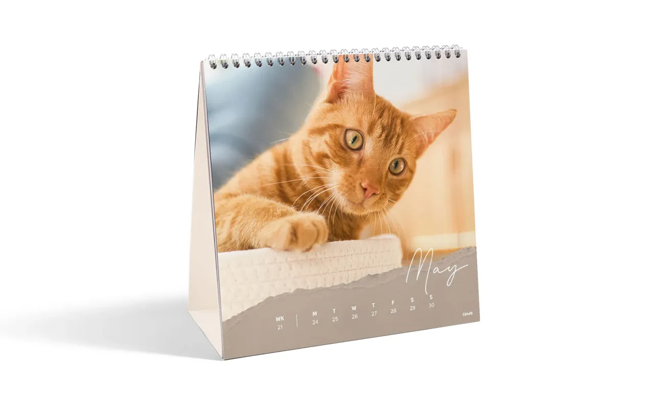 CEWE Square Weekly Desk Calendar | High-quality & Easy To Write On | Personalise All 53 Weeks